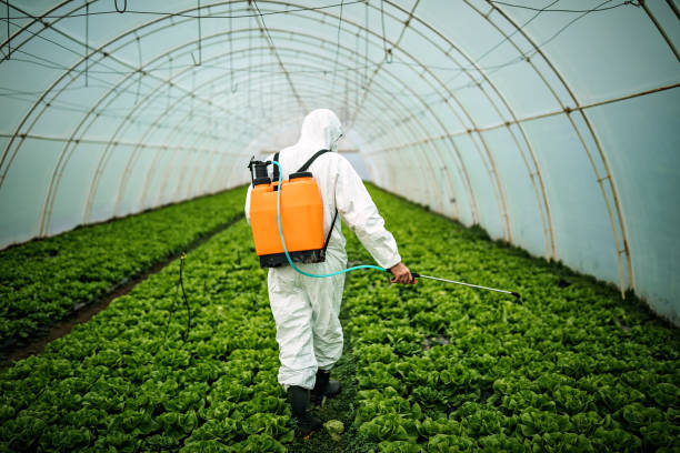 Pest Prevention Services in Setauket, NY