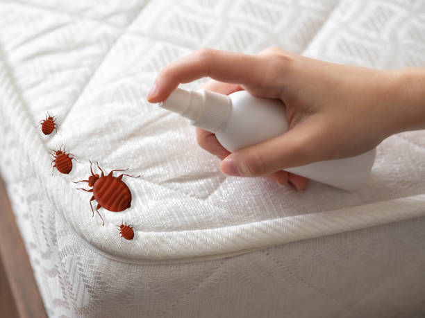 Best Commercial Pest Control Services  in Setauket, NY