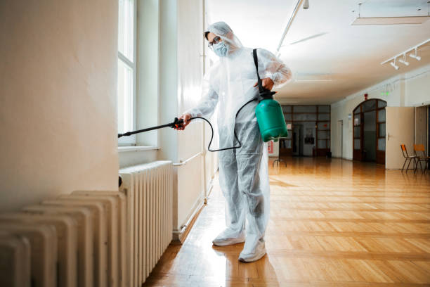 Flea Control Services in Setauket, NY