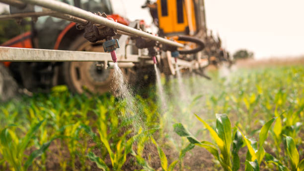 Best Ant Control Services  in Setauket, NY